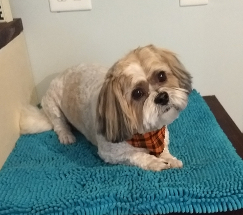 Animal House Grooming - Bowling Green, KY