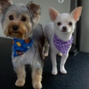 Paws N Tails Mobile Dog Grooming - Pet Grooming