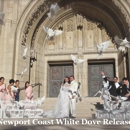 White Dove Release Funerals Weddings - Funeral Planning