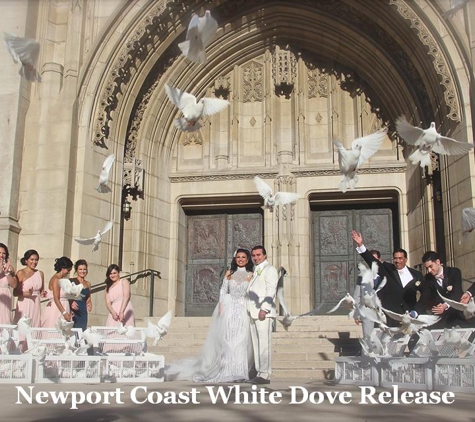 Los Angeles White Dove Release - San Gabriel, CA