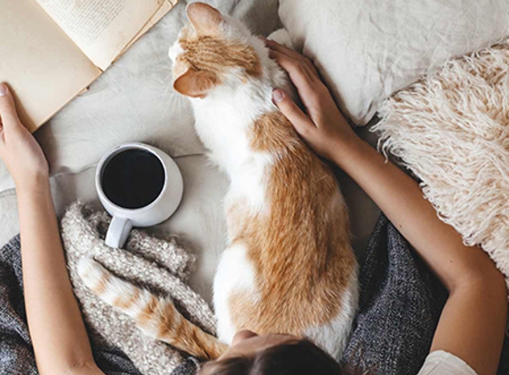 Melton Veterinary Clinic - Melton, VIC