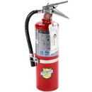 Buckeye Fire and Safety - Fire Extinguishers