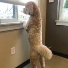 Zionsville Country Veterinary Clinic