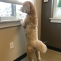 Zionsville Country Veterinary Clinic