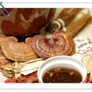 Shen Acupuncture and Herbal Medicine - Acupuncture