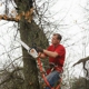 Arelica Tree Service