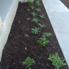 Infinite Lawn and Landscape gallery