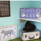 Beagles Bay Animal Hospital