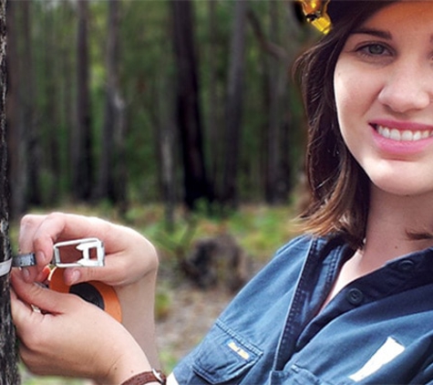 Forestry Corporation of NSW
