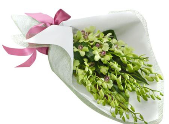 Florist Gardens - Mount Sheridan, QLD