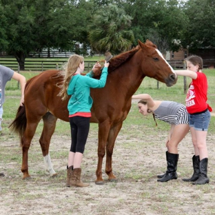 Howey Horse Haven Rescue - Howey In The Hills, FL