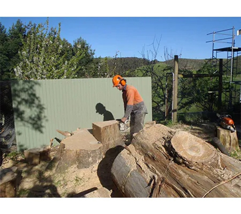 Mckill's Tree Service - Berrambool, NSW