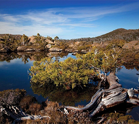 Russell Falls Holiday Cottages - National Park, TAS