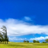 Waiehu Golf Course gallery