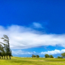 Waiehu Golf Course - Golf Courses