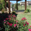 Armstrong Landscape Management, LLC gallery