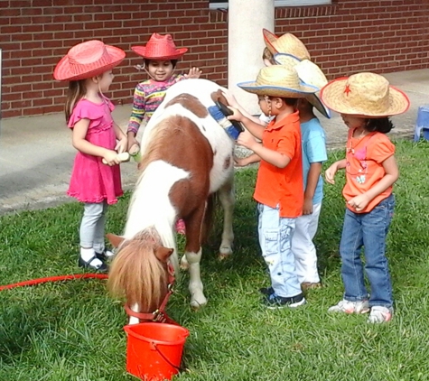 About Town Ponies - Waxhaw, NC