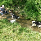 Spring Valley Farm Dog Care