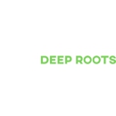 Deep Roots Home Improvement - Home Improvements