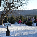Evergreen View Farm - Choose & Cut Christmas Trees