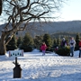 Evergreen View Farm - Choose & Cut Christmas Trees