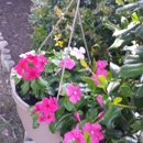 Courthouse Green - Apartment Finder & Rental Service