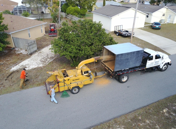 USA Tree Service - Weeki Wacee, FL