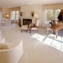 Eco Carpet Cleaning LLC - Orlando - Upholstery Cleaners