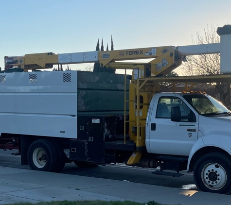 Spartan Tree Service - San Jose, CA