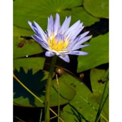 Gallery Image Number 6