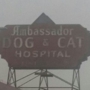 Ambassador Dog & Cat Hospital