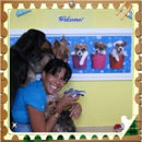 Happy Tails Pet Resort - Dog Day Care