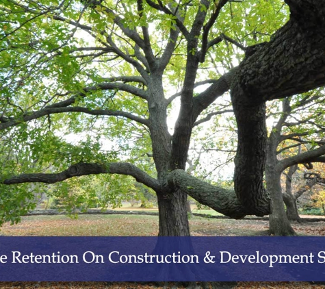 The Tree Doctor (Qld) Pty Ltd - Everton Hills, QLD. Tree Retention On Construction & Development Sites