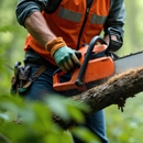 Mory's Tree Service and Landscaping - Tree Service