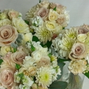 Blumz...by JRDesigns - Flowers, Plants & Trees-Silk, Dried, Etc.-Retail