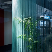 Gallery Image Number 5