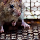 Eastern Pine Pest Control - Pest Control Equipment & Supplies