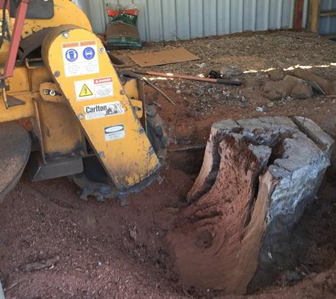 Albury Wodonga Tree & Stump Removal - Staghorn Flat, VIC