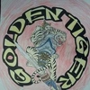 Golden Tiger Tae Kwon Do gallery