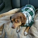 Neshoba County Animal Hospital - Veterinary Clinics & Hospitals