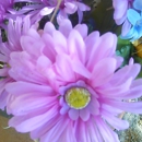 Power of Touch Mobile Massage - Massage Services