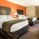 Comfort Inn Wings Stadium - Motels