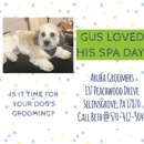 Aruba Groomers - Pet Grooming