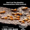 Aggressive Pest Elimination - Pest Control Services