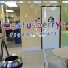 Cactusberry+ Frozen Treats gallery