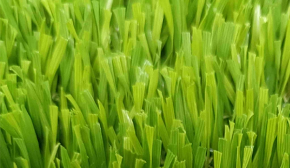 MBA Grass - Southern River, WA