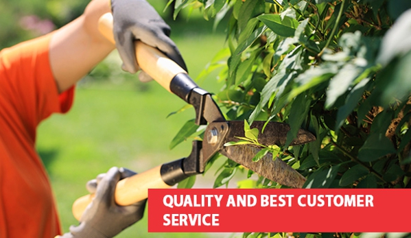 Best Mix Garden Supplies - Mornington, TAS. Quality And Best Customer Service (www.bestmixgarden.com.au/)
