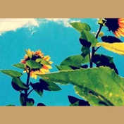 Gallery Image Number 4