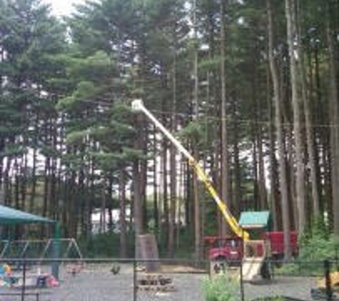 Stumpy's Tree Service - Ashland, MA