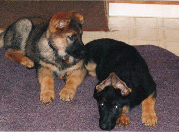 Jo-Lin Kennels - Bechtelsville, PA. LIDO & MEIKA